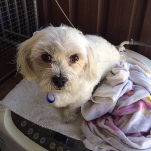 Teddy (On Trial 19/12/13)