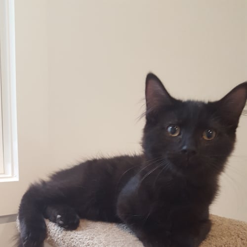 Hiro