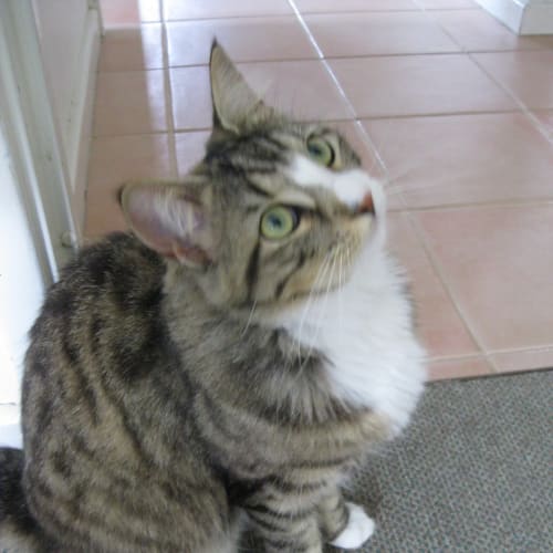 Missy (BnC134) 