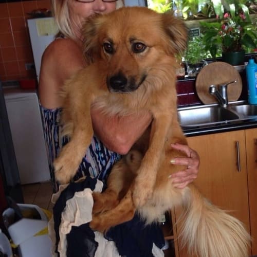 No photo for Marc **A Stunning Natured Boy**