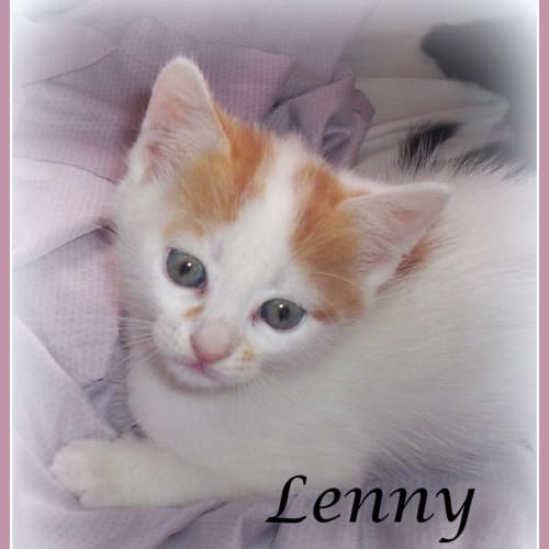 Lenny