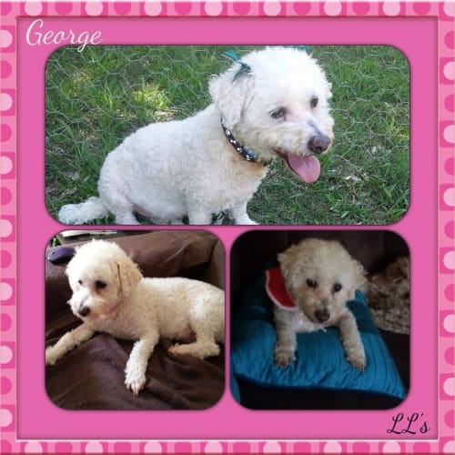 George 
