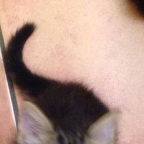 No photo for Nelson