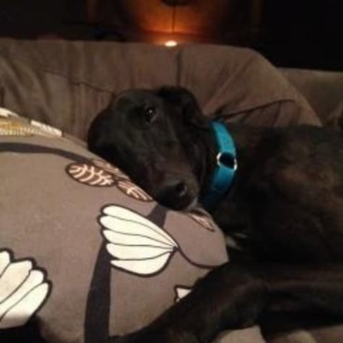 Lochie