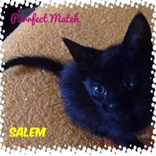 Salem