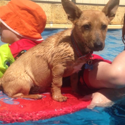 No photo for Princess