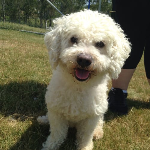 Bailey