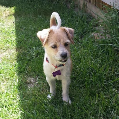 No photo for Jemima   Currently On A 2 Week Trial