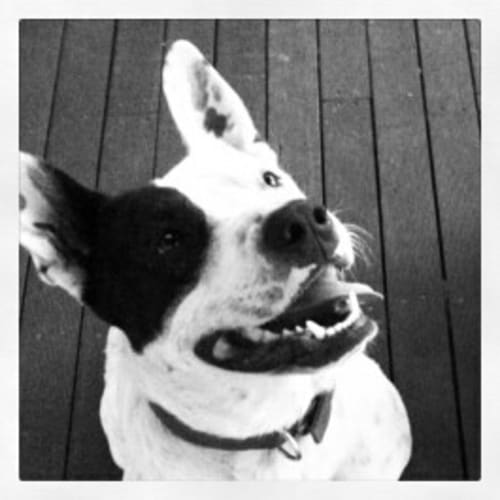 No photo for Kaiser 