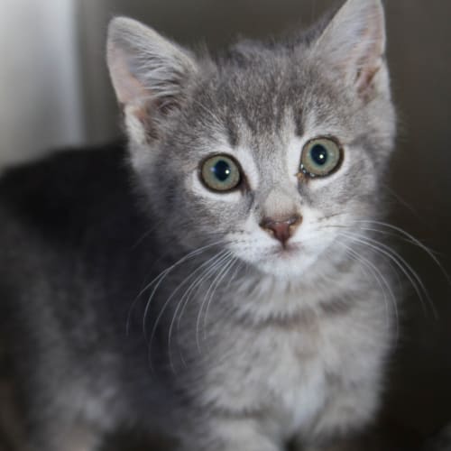 Tuesday (ready 7.2.14)