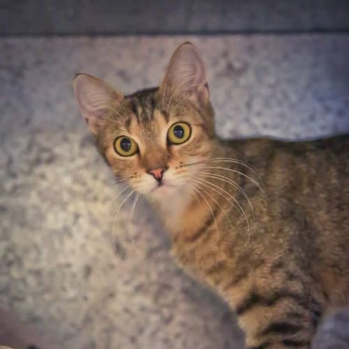 No photo for Luna