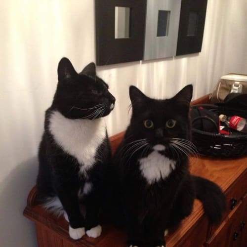 No photo for Oscar & Billy Bob