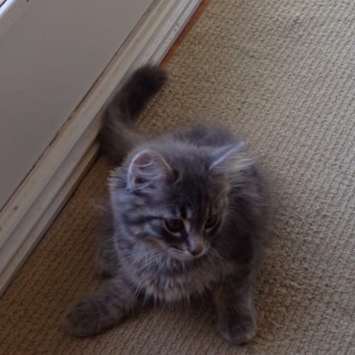 No photo for Theo