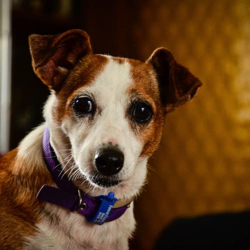 No photo for Molly. 'Miss Personality'