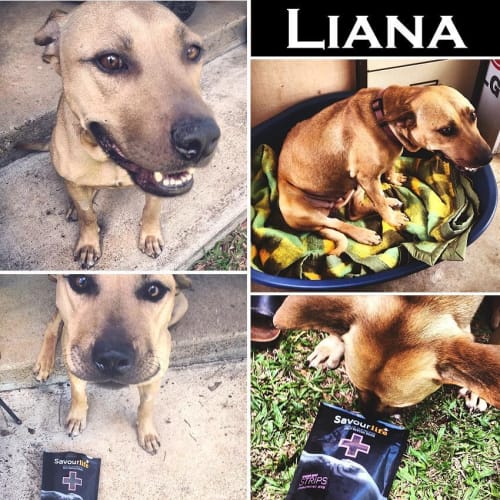 Liana