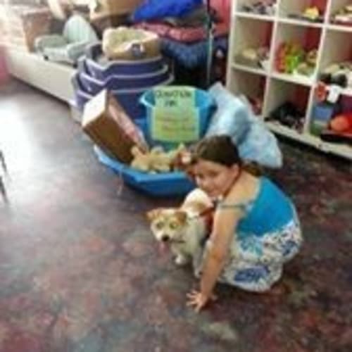 No photo for Lovely Little Tehlula Good With Cats Kids N Paws
