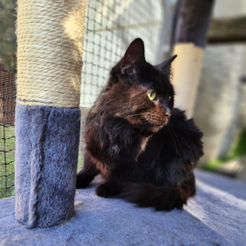 Sabrina