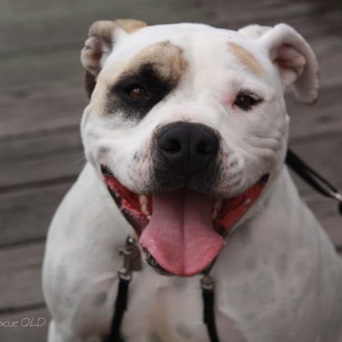 No photo for Zeus