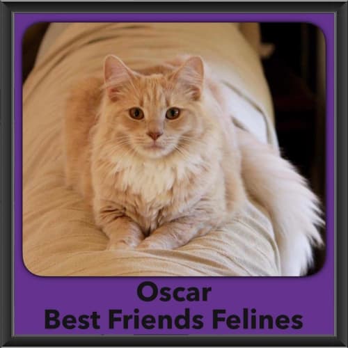 Oscar