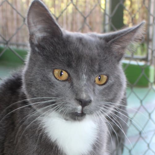 No photo for Katie *Perfect Princess* Id 20368