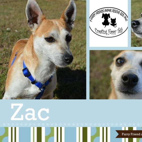 Zac