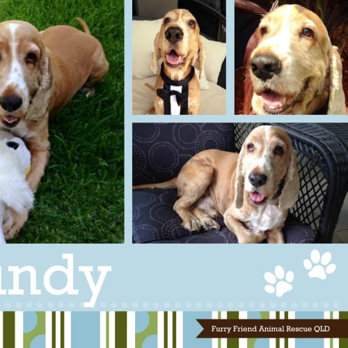 Bundy