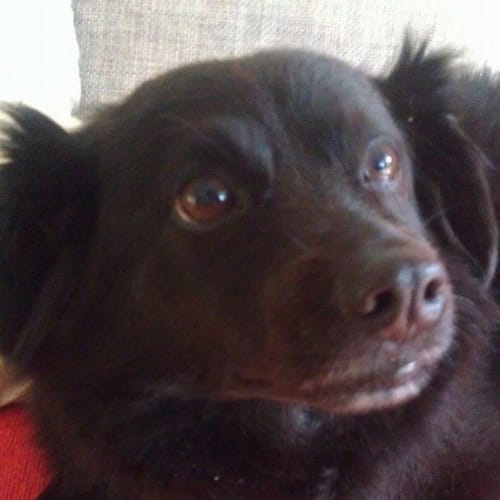 No photo for Axel