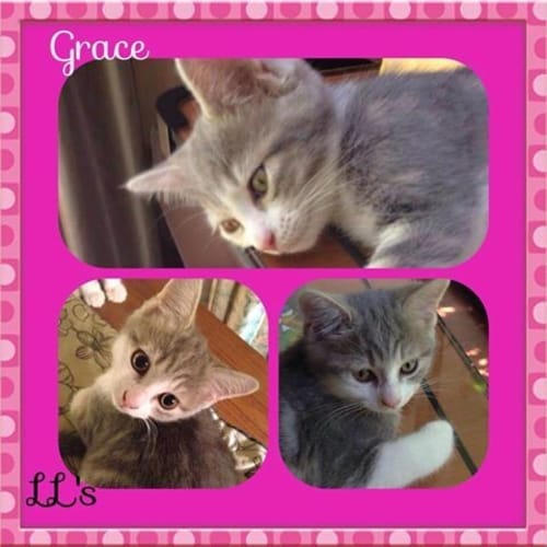 No photo for Grace