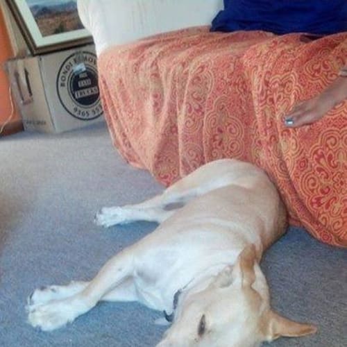 Cooper