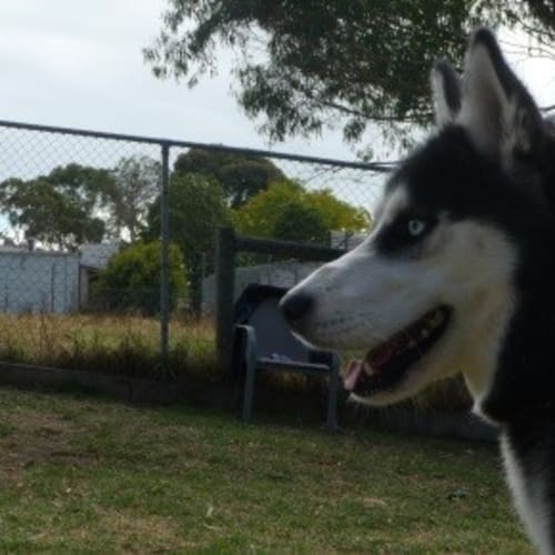 No photo for Xena