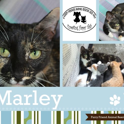 Marley