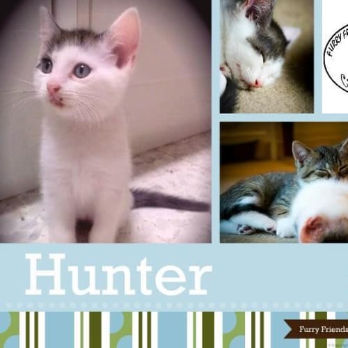 Hunter