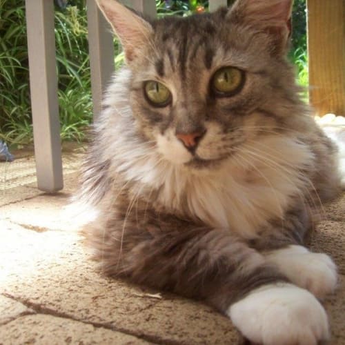 Sophie