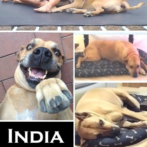 India
