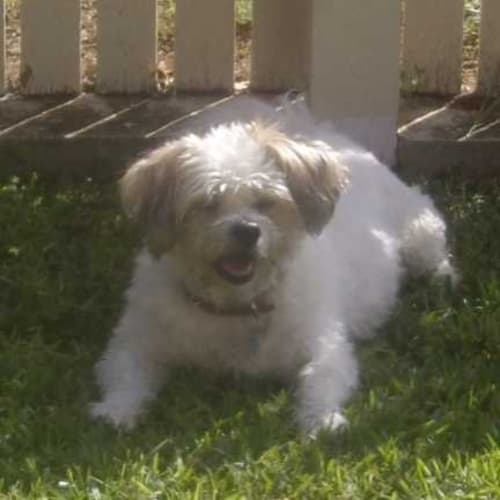 Lucy
