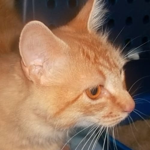 No photo for Albert