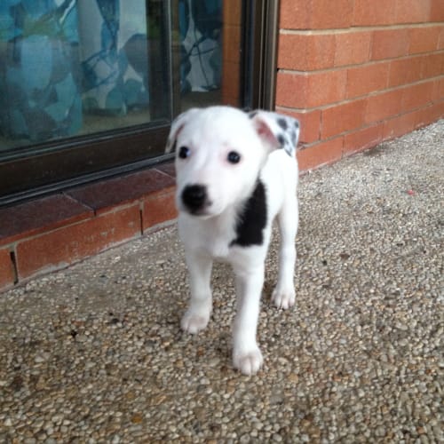 No photo for Alaska On Trial With Her New Family