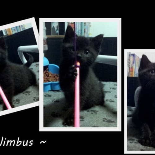 Nimbus