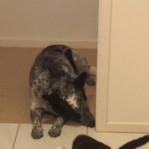 No photo for Ernie