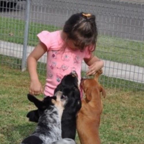 No photo for Tessa ** A Gorgeous Natured Girl **