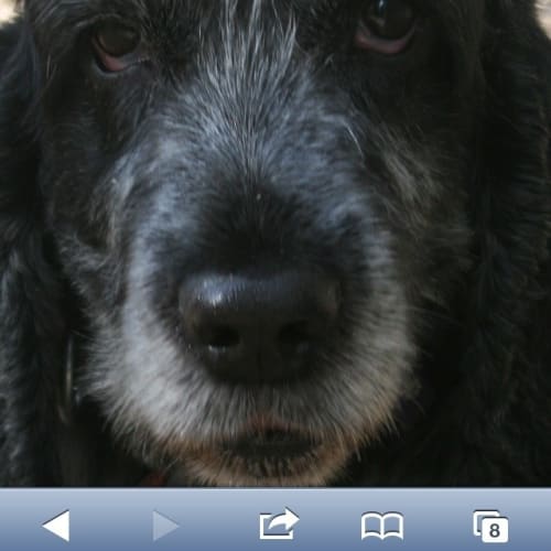 Tilly