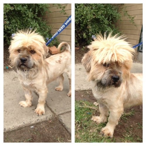 No photo for Tony (Id 20893) 