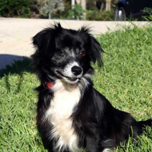 Hazel (On Trial 22/10/14)