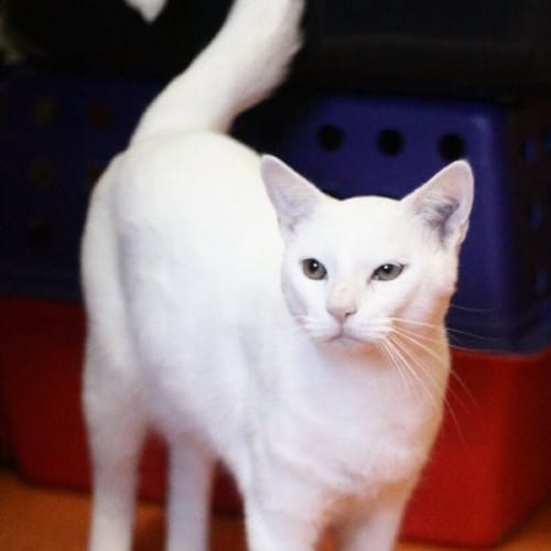 No photo for Humphrey
