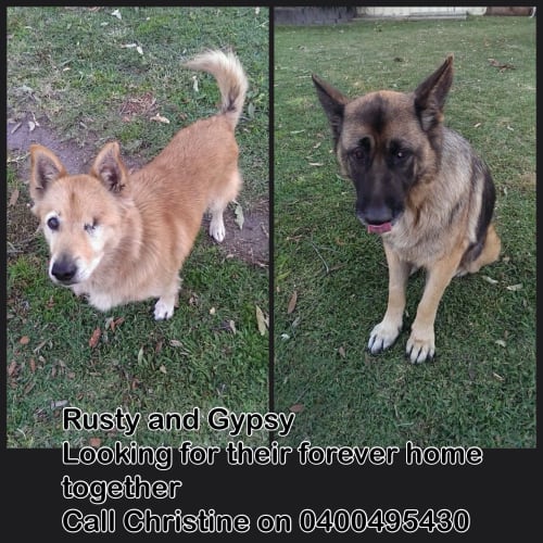 Gypsy and Rusty