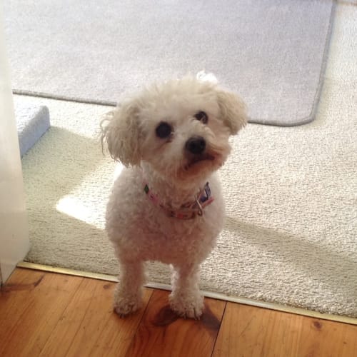 Milly