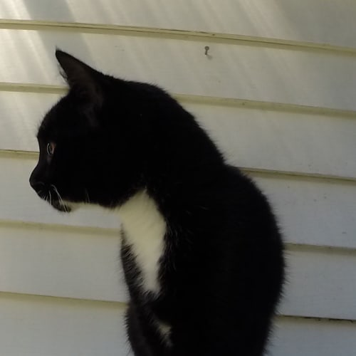 No photo for Gus