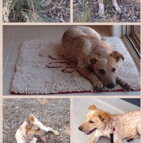 Miley ... happy friendly young girl