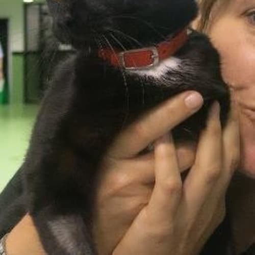 No photo for Artemis