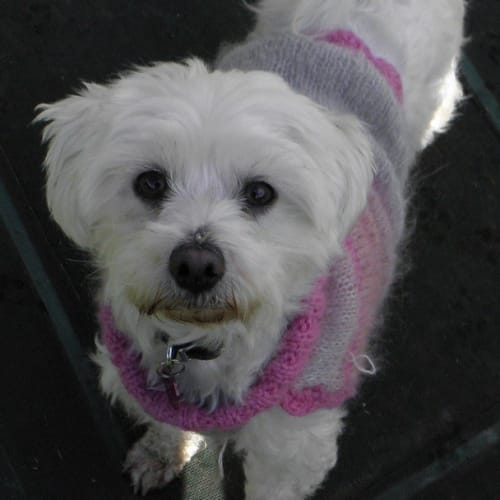 No photo for Minty   Currently On A 2 Week Trial